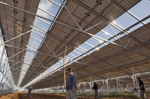 07. Two agricultural photovoltaic shade screens
