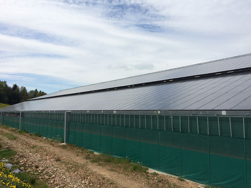 06. Auditoría de una instalación agrícola en tejado